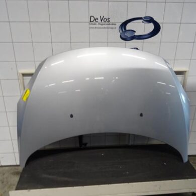 Peugeot 307 1.6 16V Motorhaube 2005 7901L9