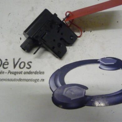 Peugeot 207  Tailgate lock mechanism 2007 8719E9-871984