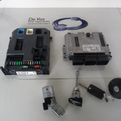 Peugeot 207 1.4 HDi Computer Motormanagement 8HR 2010 194487