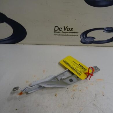 Citroen C4 Cactus  Motorkap Scharnier 2018 9801113980