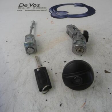 Citroen C3 Picasso  Slotenset Cilinder (compleet) 2015 4162SV