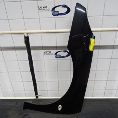 Peugeot 407 3.0 V6 24V VVT Front wing, left 2005 7840P0