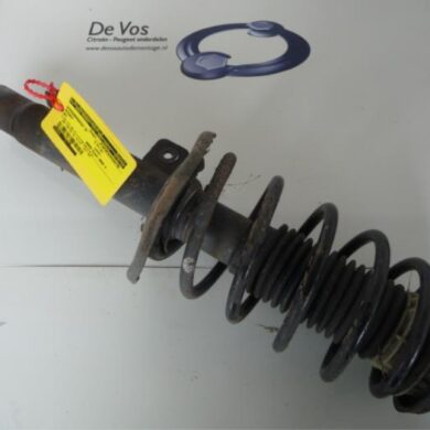 Peugeot 207 1.4 16V Vti Front shock absorber rod, right 2008 5202VJ-5002JY