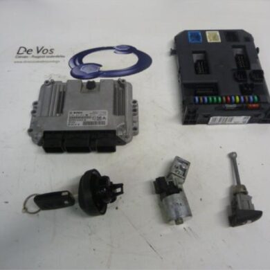 Peugeot 207  Engine management computer 9HV-9HV9H01 2010 1944J3-1944J4