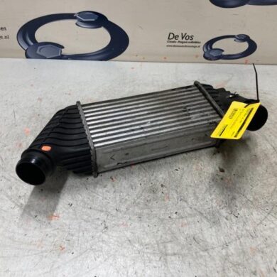 Peugeot Expert 2.0 HDi 140 16V Intercooler RHR-EZW 2008 0384J9-0384P1