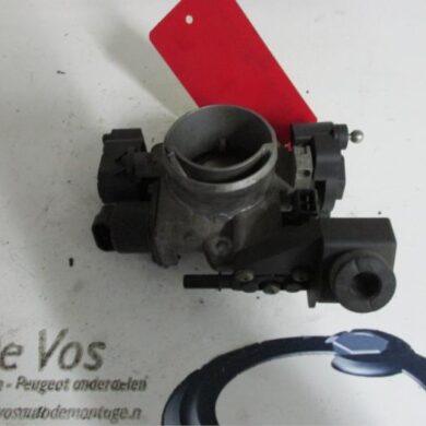 Peugeot 406  Gasklephuis 2001