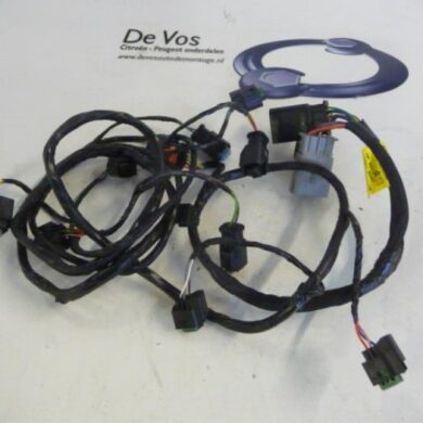 Peugeot 508  Kabelboom 2014 9808754080