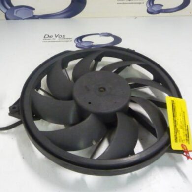 Peugeot 206 1.6 16V Fan motor 2001 1253C5