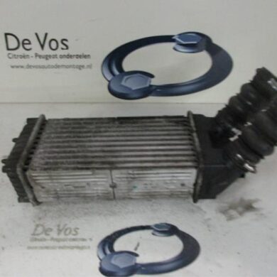 Citroen Picasso  Intercooler 9HX 2007 0384G5