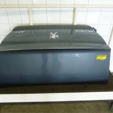 Peugeot 407  Tailgate 2006 860684