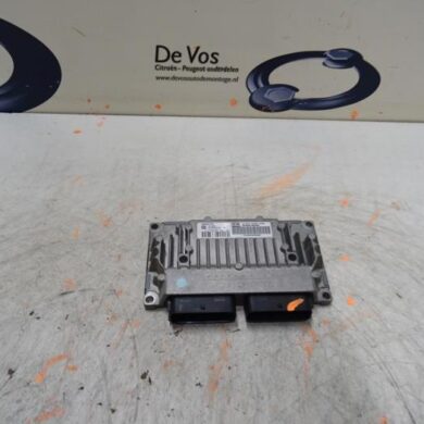 Peugeot 307  Computer Automatische Bak RFJ 2006 2529Z9 20TS25