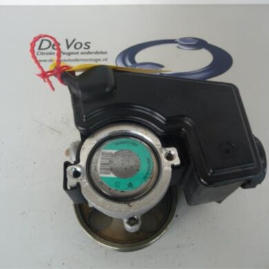 Peugeot 206 1.9 D Stuurbekrachtiging Pomp WJY 2002 4007LL