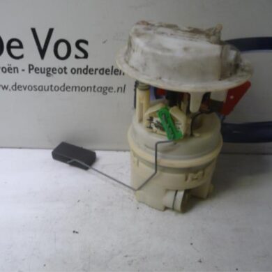 Citroen C5 3.0 V6 24V Electric fuel pump XFX 2001 1525KJ