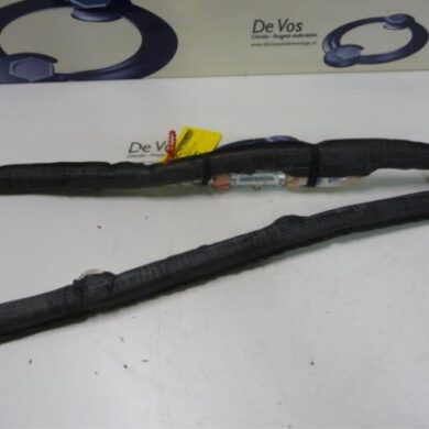 Citroen C3 1.6 HDi 92 Roof curtain airbag 2011 8216ZR