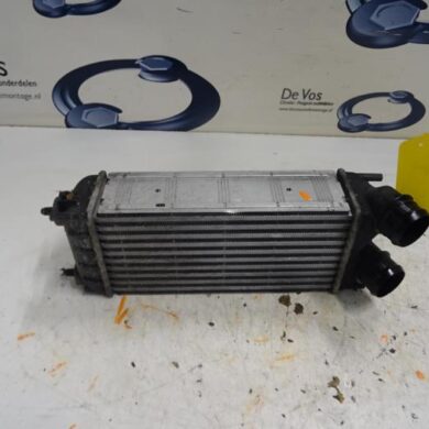 Citroen Berlingo  Intercooler 9HP9H06-9HF9H06 2012 0384N9