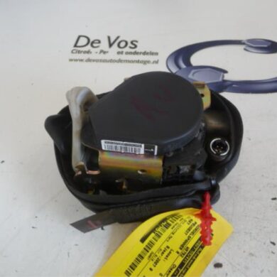 Peugeot 407  Gurtsrammer rechts 2007 8974YK