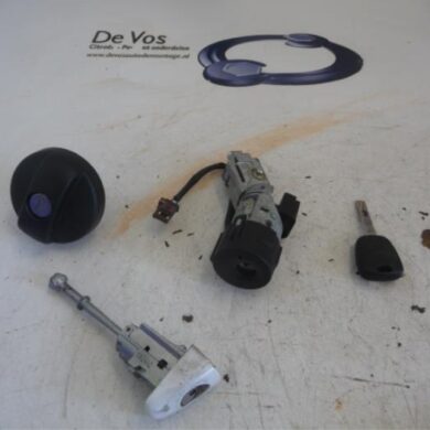 Citroen C3 1.6 HDi 92 Slotenset Cilinder (compleet) 2011 4162VH