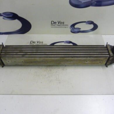 Peugeot Bipper 1.4 HDi Intercooler 8HS 2010 0384L7