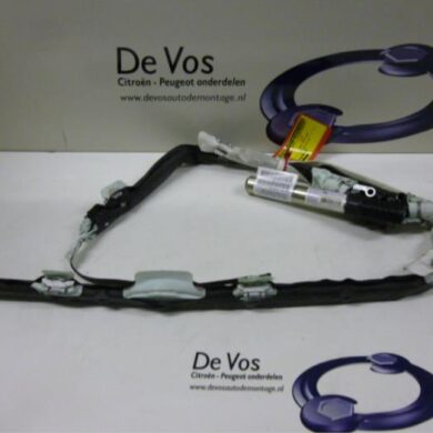 Citroen C4 Picasso 2.0 16V Autom. Hemel Airbag 2007 8216QV