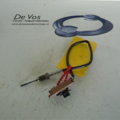 Citroen C4 1.6 Hdi Sensor (overige) 2013 1618NF