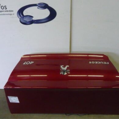 Peugeot 407 2.0 HDiF 16V Tailgate 2006 860684