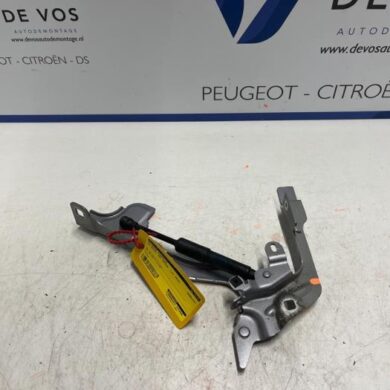 DS Automobiles DS7 Crossback  Bonnet Hinge 2018 9829653680