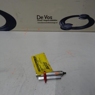 Peugeot 307 2.0 16V Gasdemper Cabriodak 2006 8446J9