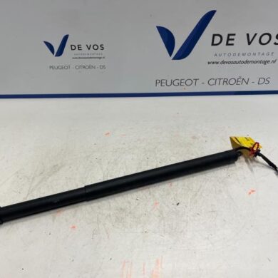 Peugeot 5008  Gasdämpfer links hinten 2022 9830770680