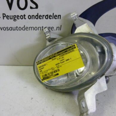 Peugeot 206 1.4 XR,XS,XT,Gentry Verstraler links 2003 6204T1