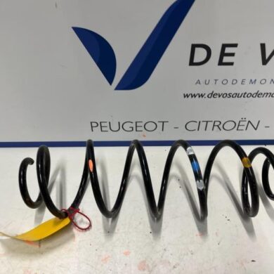 Citroen C5 Aircross  Rear coil spring 2022