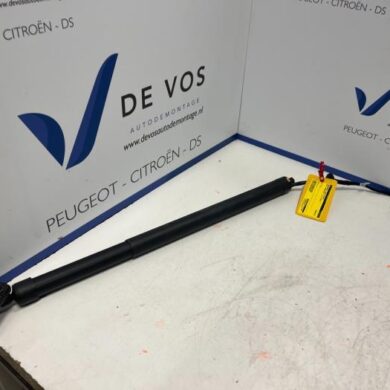 Opel Grandland X 1.2 Turbo 12V Rear gas strut, left 2021 9828629780