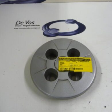 Citroen Nemo  Wheel cover (spare) 2015 5416P9