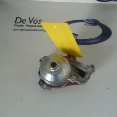 Peugeot 208  Waterpomp 2013 9803442480