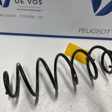 Citroen C5 Aircross  Rear coil spring 2022
