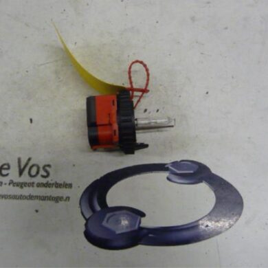 Peugeot 407 2.2 16V Xenon Lampe 2004 6216A9-6224F6