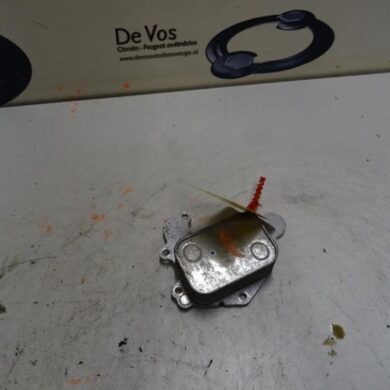 Peugeot 208  Heat exchanger HNZHN01 2015 9807656980-9815697880