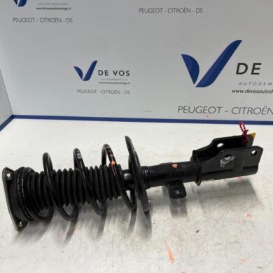 Opel Grandland X  Front shock absorber rod, left 2023 9819718780