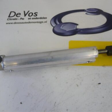 Peugeot 207  Convertible roof gas strut 2011 8446P9