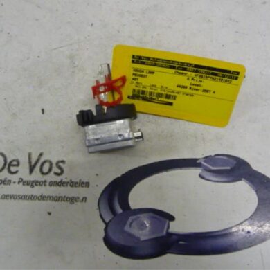 Peugeot 407 2.2 16V Xenon bulb 2007 621696