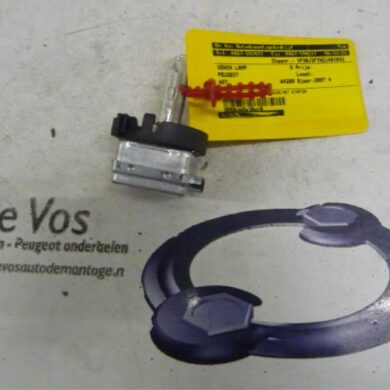 Peugeot 407 2.2 16V Xenon bulb 2007 621696