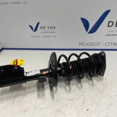 Peugeot 508  Schokdemperpoot links-voor 2021 9829093380