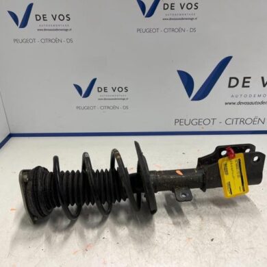 Opel Grandland X  Front shock absorber rod, left 2021 9819718680