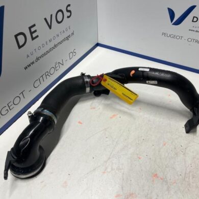 DS Automobiles DS4 1.6 16V PureTech 180 Turboslang 5G06 2021 9807627680-9807627980