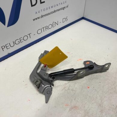 DS Automobiles DS7 Crossback  Bonnet Hinge 2018 9829653580