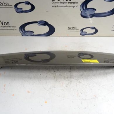Citroen C4 Picasso 1.6 HDi 16V 110 Spoiler 2009 8742P7