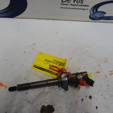 Peugeot Expert  Verstuiver (diesel) 9HU 2009 1980H2-1609850180-1980CR-1609850280