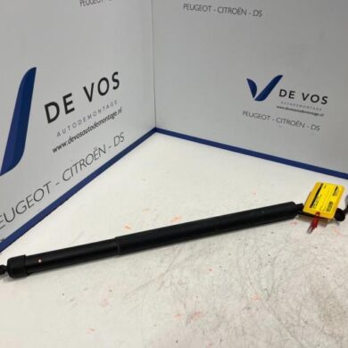 Opel Grandland X 1.2 Turbo 12V Rear gas strut, left 2018 9828629780