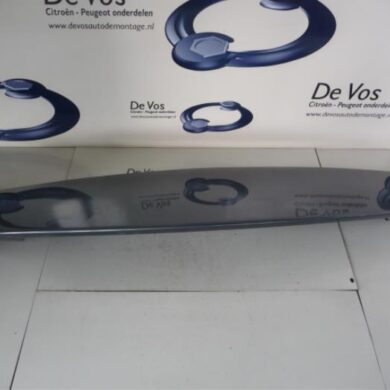 Citroen C4 Picasso 2.0 HDiF 16V 135 Spoiler 2009 8742P7