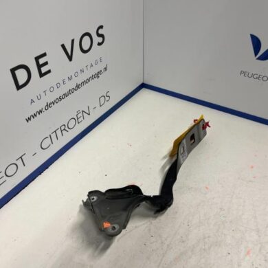 Peugeot 308 1.2 12V PureTech 130 Motorkap Scharnier 2021 9835298780