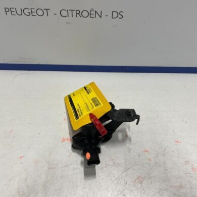 Citroen C5-X  Sensor (other) 2021 9817423180